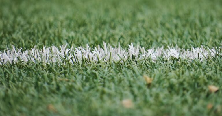 Solid Information About Soccer Which Is Easy To Understand