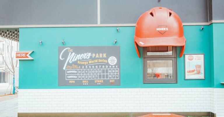 Do You Think Baseball Is Interesting? Learn This First!