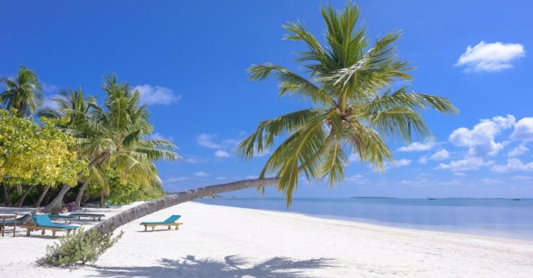 Travel Tips You Can’t Afford To Ignore