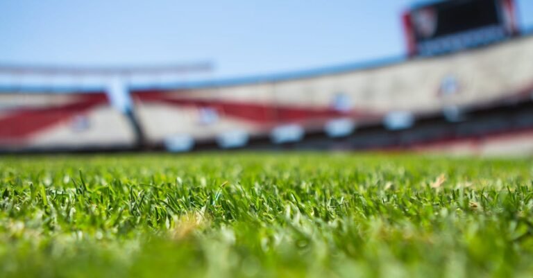 Playing Soccer Like A Pro: Tips And Tricks